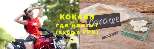 гашик Арсеньев