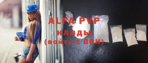 гашик Арсеньев