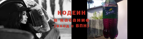 гашик Арсеньев
