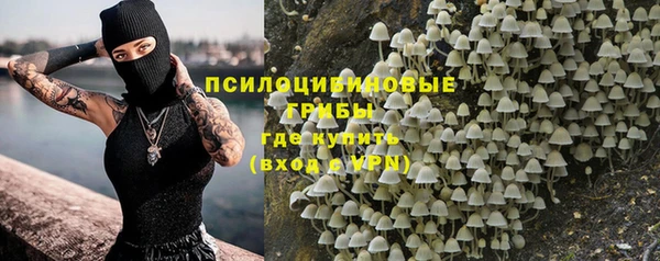 гашик Арсеньев