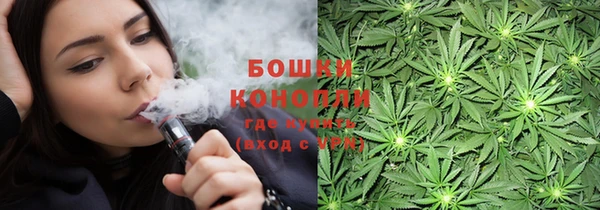 гидра Аркадак