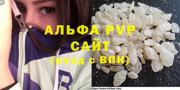 гашик Арсеньев