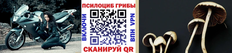 цена наркотик  Мелеуз  Псилоцибиновые грибы прущие грибы 